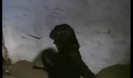 Krzemelik scopa filmporno interi Lola